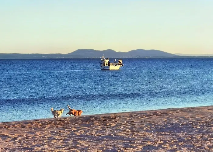 Dom wakacyjny Leon Inmo Casa Ella - 13009 *